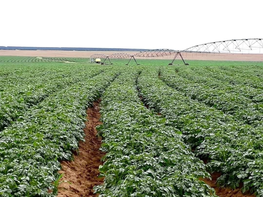 Commercial Property for Sale in Kestell Rural Free State